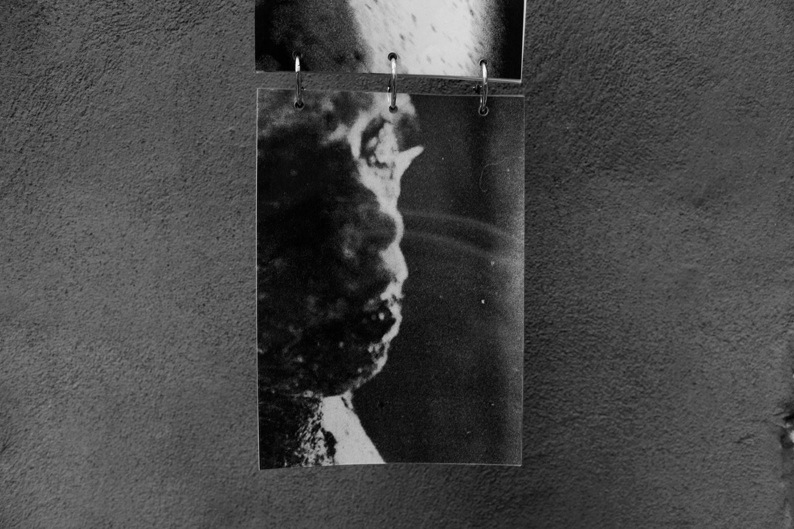 RSN - Detail